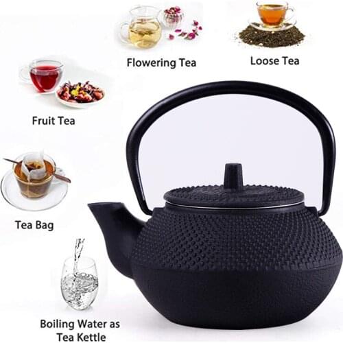 Classical Cast Iron Teapot with Stainless Steel Infuser Luxury Japanese tea pot Filter Kettle Matcha Ceremonial Accessories