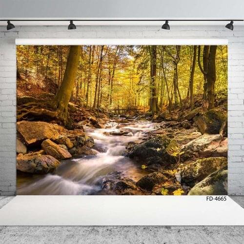 Forest River Stones Photo Backdrop Customized Fond Background for Baby Children Portrait Scenic Photoshoot Photography Props