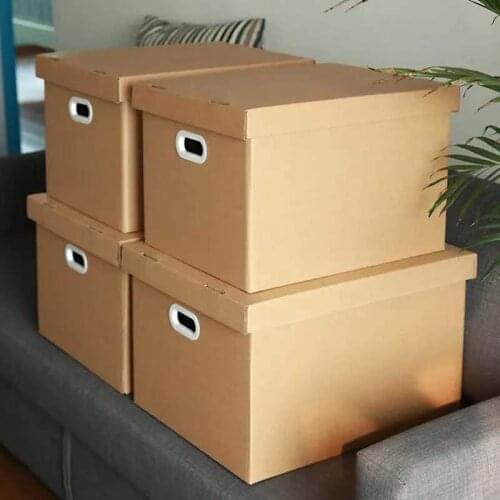 Chogolees Sport Shoes