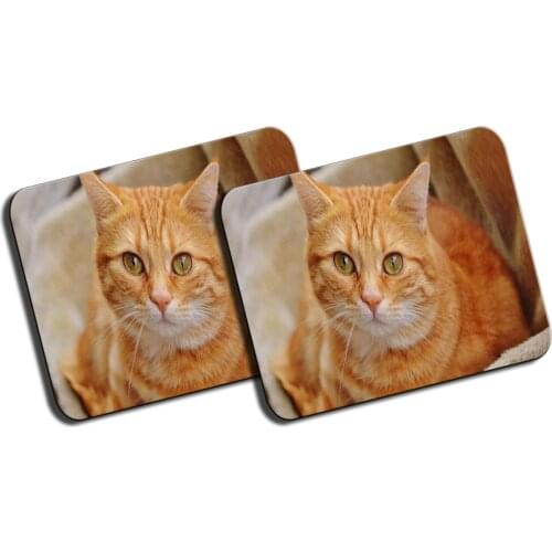 MERCHANDMANIA PACK 2 large TABBY cat mats Orange very cute for raton computer pc laptop accessory offer