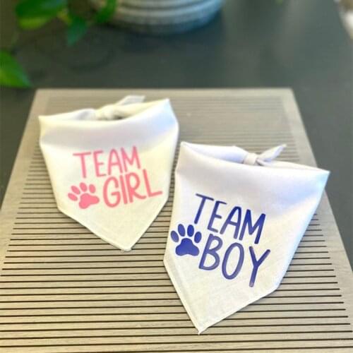 Team Boy Team Girl Dog Bandana Gender Reveal Party Pregnancy Announcement baby shower pink or blue decoration gift Photo props