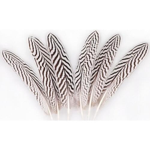 Promotion 10pcs/lot Silver Pheasant Tail Feathers 15-20cm/6-8inches Wedding DIY Decoration Feathers for Crafts