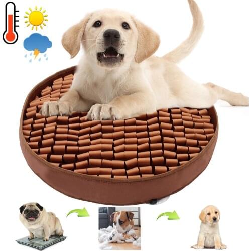 Dresspet Dog Beds