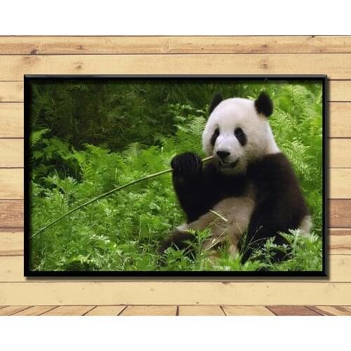 Giant Pandas Lovely And Valuable Animal (21) Wall Posters Prints Silk Art Painting For Home Wall Bedroom Decor