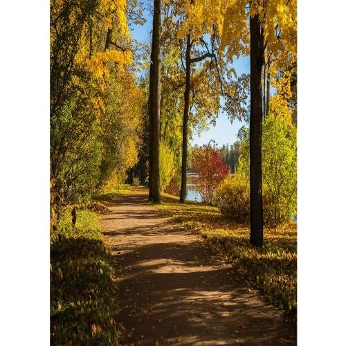 Trees Grassland Footpath Lake Photographic Background Customized Backdrops Photo Studio for Portrait Children Baby Photocall