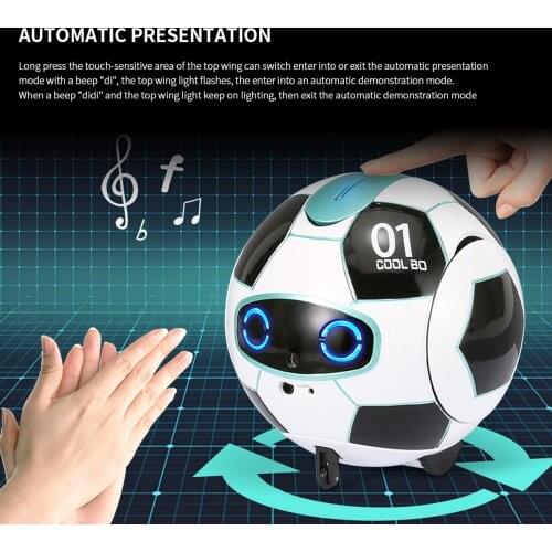 Lyshare Radio Controlled Robots