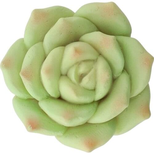 Silicone Creative Refrigerator Magnet Succulent Plant Resin Fridge Magnet for House Office Kitchen Whiteboard