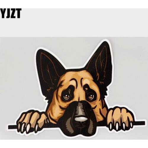 YJZT 14.6CM×10.6CM Cartoon German Shepherd Dog Peeking Decal PVC Car Sticker 11C-0378