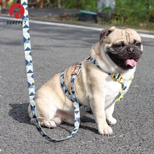 Fashion Designer Print Nylon Dog Harness Breakaway Quick Release Pet Harness Vest Walking Lead Adjustable Escape proof