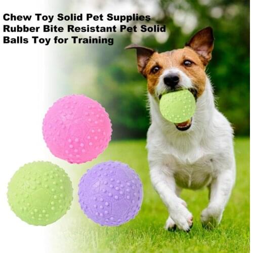 Chew Toy Solid Pet Supplies Rubber Bite Resistant Pet Solid Balls Toy for Training