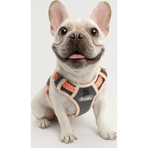 Аксессуары для собак TUFF HOUND China At AliExpress