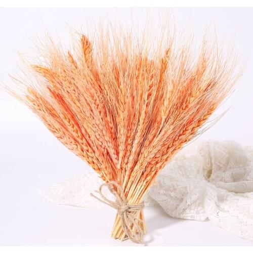 25pcs Dried Flower Bouquet Orange Wheat/Rye Bunch Wedding Party Home Decor Artificial Festive & Party Supplies