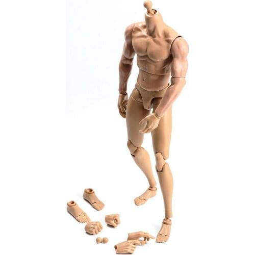 1:6 Male Plastic Flexible Body Action Doll Gift Muscular Doll TQ230 Model