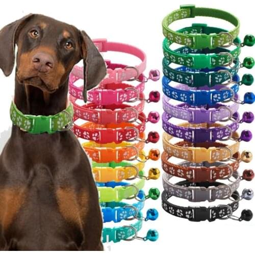 Colorul Pet Supplies Cat Collar With Bell Adjustable Buckle Collar Cat Pet Supplies Cat Accessories Collar Small Dog Chihuahua