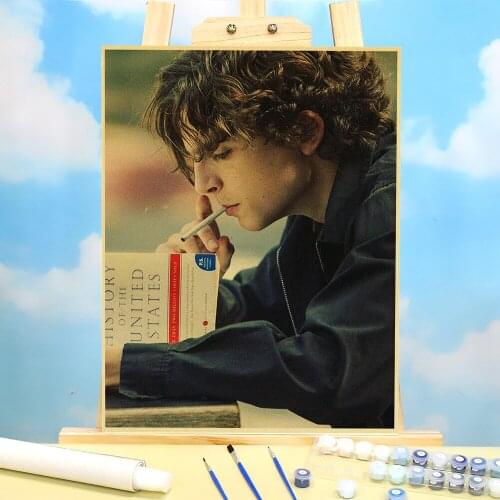 Vintage Movie Lady Bird Retro DIY Paint By Numbers Kit Oil Paints 50*70 Oil Painting Wall Paintings For Handicraft