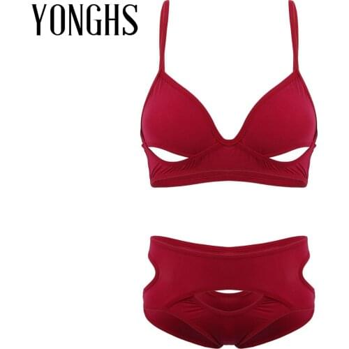 Womens Erotic Sex Lingerie Set Ultra-thin Silky Deep V Neck Hollow Out Breast Bra Top with High Waist Cutout Briefs Underwear