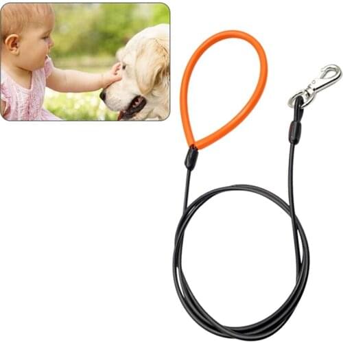 P Chain Dog Leash Slip Collar Pet Walking Leads Nylon Dog Mountain Climbing Rope Puppy Pet Traction Personalized New Leashes