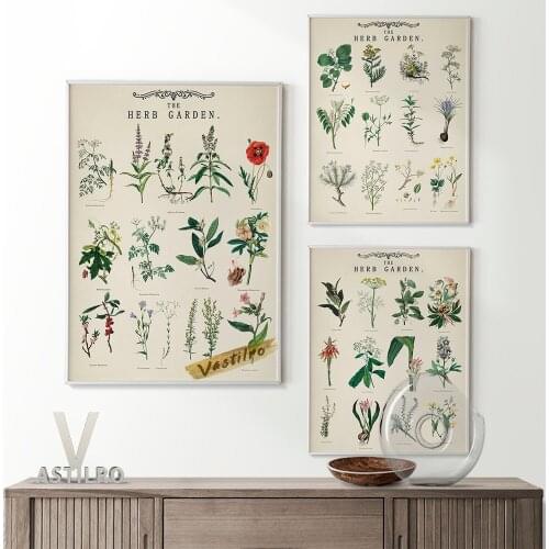 Flower Herbarium Stunning Alpine Botany Illustrations Retro Poster Nature Study Art Prints Educational Wall Chart Painting Decor