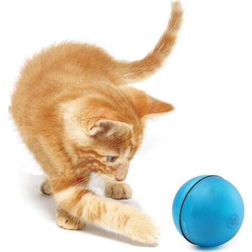 Cat Dog LED Laser Red Light Electronic Rolling Ball Perfect Toy Keep Your Pet Busy Cat Exercise Automatic Interactive Ball Toys