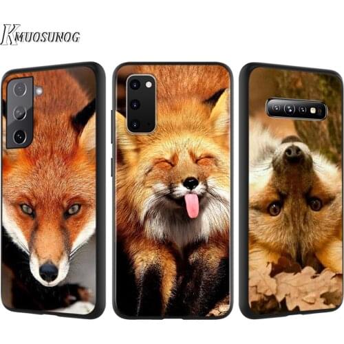 Silicone Cover Lovely Animal Fox For Samsung Galaxy S21 S20 FE Ultra S10 S10E Lite S9 S8 S7 Edge Plus Phone Case