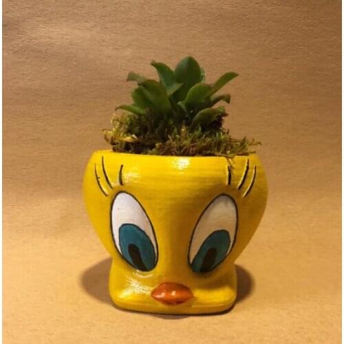 Tweety Flower Pot Decorative Cactus Gift