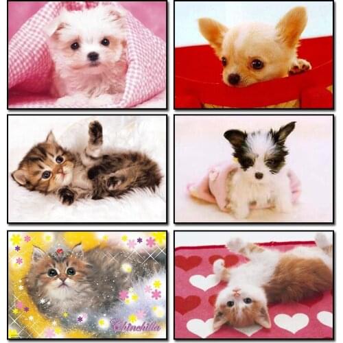 5d diy full square diamond painting dog picture of rhinestones Handicraft Needlework Kits Home decor the diamond embroidery cat