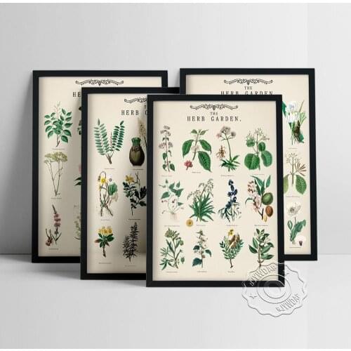 Vintage Herb Garden Plant Education Posters Wall Art Prints School Classroom Decorative Canvas Paintings Modular Wall Pictures