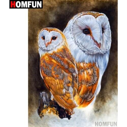 HOMFUN Full Square/Round Drill 5D DIY Diamond Painting "Animal owl" 3D Diamond Embroidery Cross Stitch Home Decor A18705