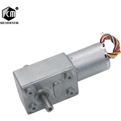 Double Shafts PWM Control Speed Measuring Velocity Brushless Worm Gear Motor Low Noise Long Life Geared Brushless Motor