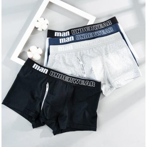 Boxer Mens Underwear Men Cotton Underpants Male Pure Panties New Man High Quality L-3XL Fashion Letters Boxers Shorts