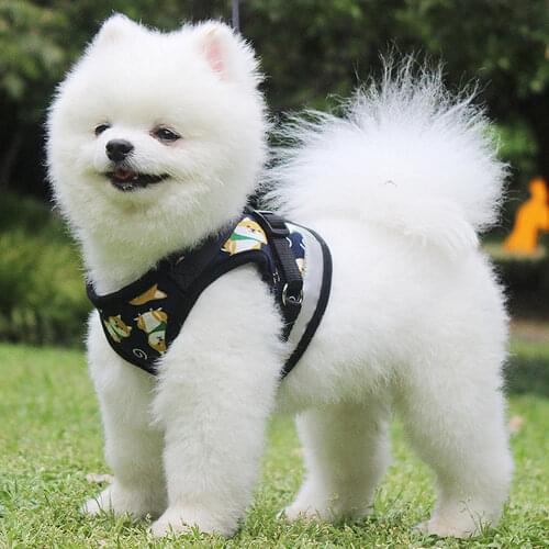 OIMG Small Meduim Dogs Harness and Leash Cute Shiba Inu Akita Cartoon Print Reflective Pet Harness Walking 1.5M Lead Leash Set