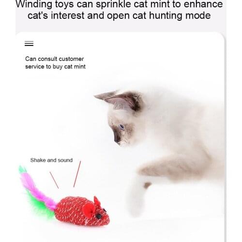 1pc Pets Cat Toys Mouse Shape Balls Shapes Kitten Love New Pet Toy Cat Channel Funny Cat Stick Mouse Supplies Pet Products 2021