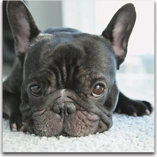 5D Diy Diamond Painting Cross Stitch small black dog heads full Diamond Embroidery french bulldog round Diamond Mosaic puppy