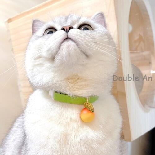 Luxury Cat Collar Green Kitten Collar Cat Accessories Free Shipping