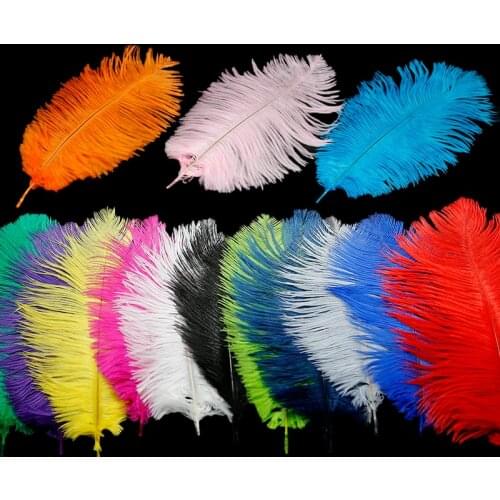 5Pcs/lot 14Colors High Quality Dyed Turkey Feather Ostrich Feather Trim Plume Decoration Craft Plume For Home 20-25cm Plume
