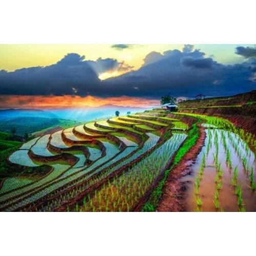 Drunk terraced fields The wooden puzzle 1000 pieces ersion jigsaw puzzle white card adult childrens educational toys