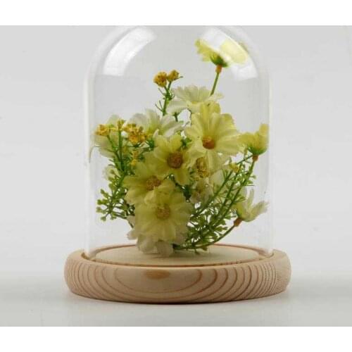 Free Shipping 12*18cm Log Base Glass Dome Vase Home Decoration Creative DIY Cover Friend Gift Wedding