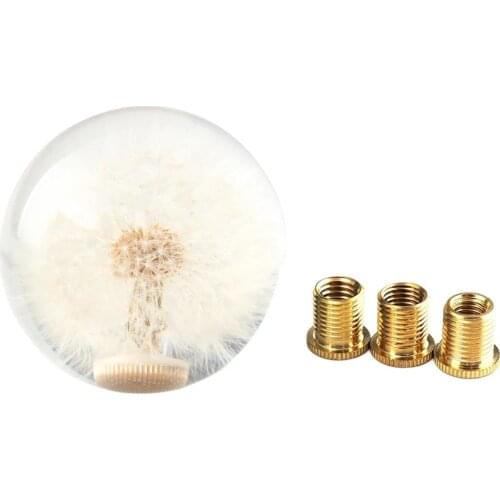 Dandelion Shift Handle Head Racing Crystal Ball Dandelion Real Flower Transfer Knob Transfer Durable Head