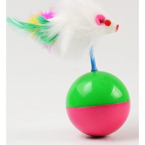 Cat Play Ball Pied Pilgrim Or not