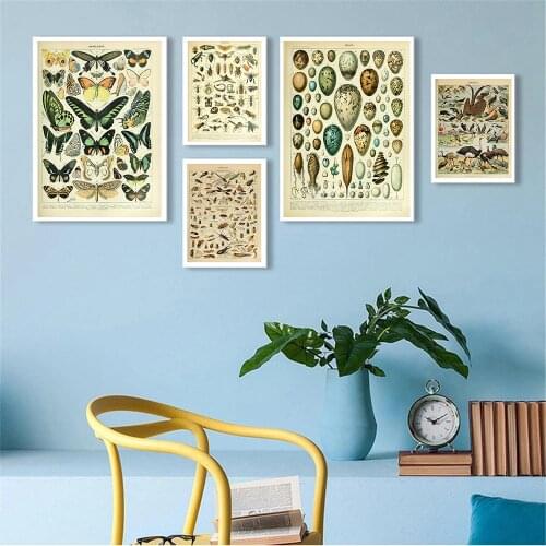 Nordic Retro Animal Insect Atlas Picture Antique Old Book Page Printing Canvas Painting Home Living Room Study Decor Poster