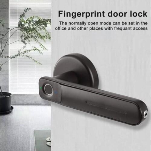With Keys Safety Home Office Smart Biometric Zinc Alloy Fingerprint Door Lock Semiconductor