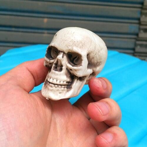 Halloween Toy Realistic Fake Mini Human Skull Head Bone Model Prop Realistic Skeleton Halloween Decoration Party Supplies