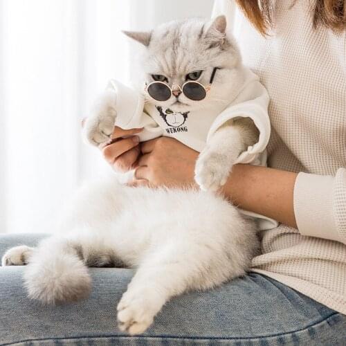 Cat Clothes Personalized Original Pet Sweater Trendy Spring Thin Velvet Poodle Puppy Kitten Young Cat Clothing