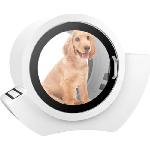 Bathtub and Dog Hair Dryer Professional Pet Grooming Blower Condos Dog Professional Hair 2 In 1 Dryer