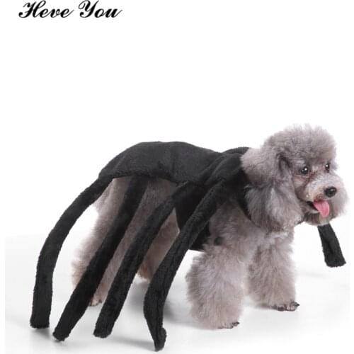 Heve You Clothes Sets for Small Dogs Cats Pet Clothes Large Black Spider Dog Costume Novelty Funny Party Festival Pet Clothing