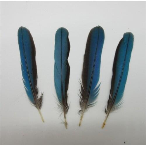 Hot Sale 10 PCS/Lot Pearl Pheasant Feathers 2-4"/5-10CM Natural Spotted Chicken Feathers DIY Jewelry Accessories Plumes