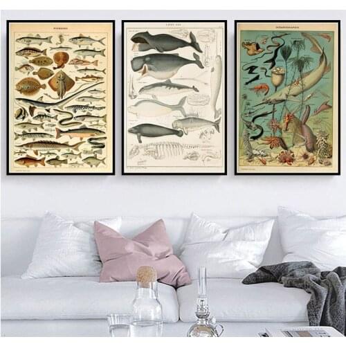 Poster Prints Retro Ocean Sea Shell Fish Animal Vintage Life Chart Biology Painting Art Wall Pictures For Living Room Home Decor