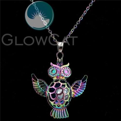C122 Rainbow Color Owl Bird Beads Cage Essential Oil Diffuser Aromatherapy Pearl Cage Magnet Locket Necklace Women Party Gift