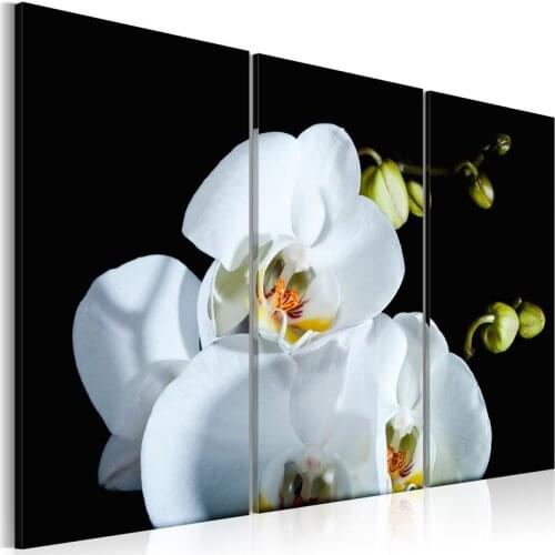3 Pieces/set Classic floral poster Wall Art For Wall Decor Home Decoration Picture Painting PJMT-B (132) Wholesale
