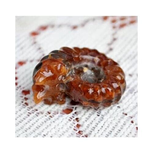 The best natural horn screw Super jade, conch fossil thorn spot color bolt jade rich bolt 30G-35G